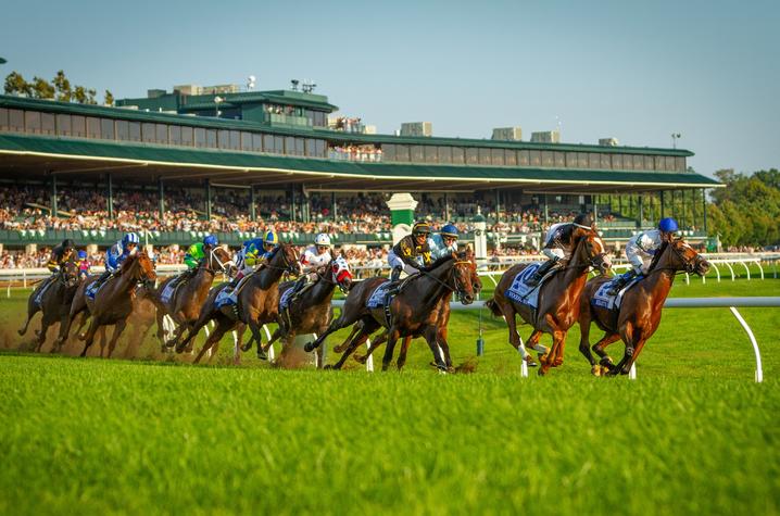 horses racing on track