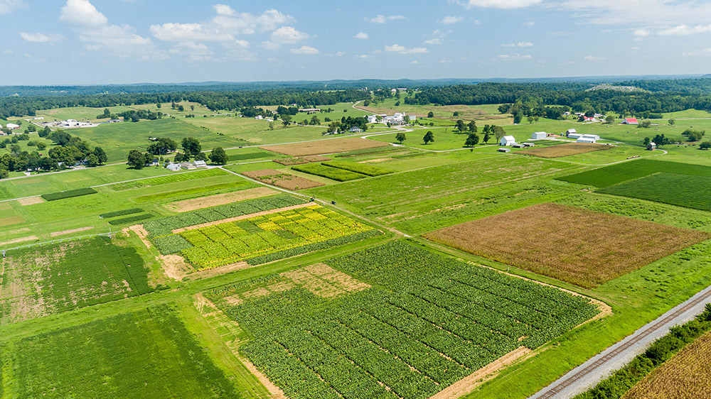 A view of research plots at the UK Research and Education Center in Princeton, Kentucky.