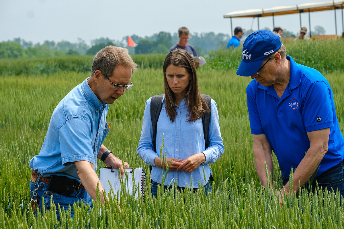 Dave Van Sanford (left) speaks with Lauren Brzozowski and Carl Schwinke of Siemer Milling at the 2023 Wheat Science Field Day