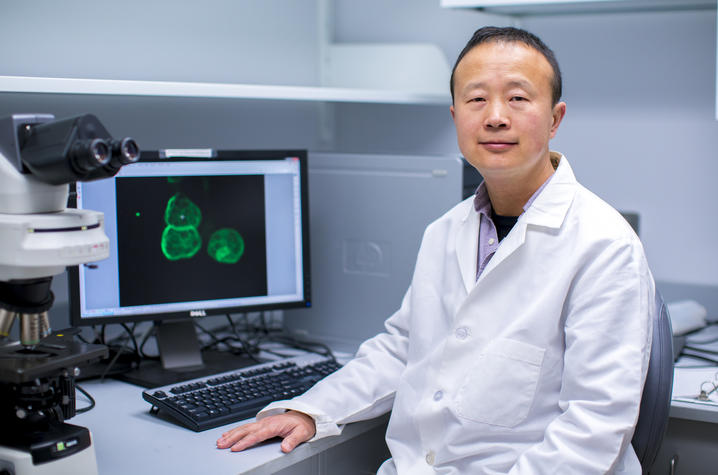 Markey researcher Ren Xu, Ph.D.