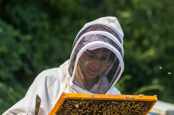 Clare Rittschof holding a section of a beehive, covered in bees
