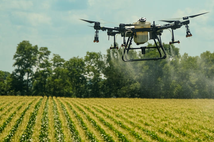 drone flying above a crop field, spraying plants below