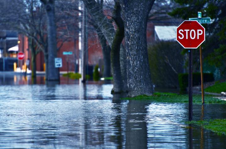 flooded street with a stop sign emerging from the water.