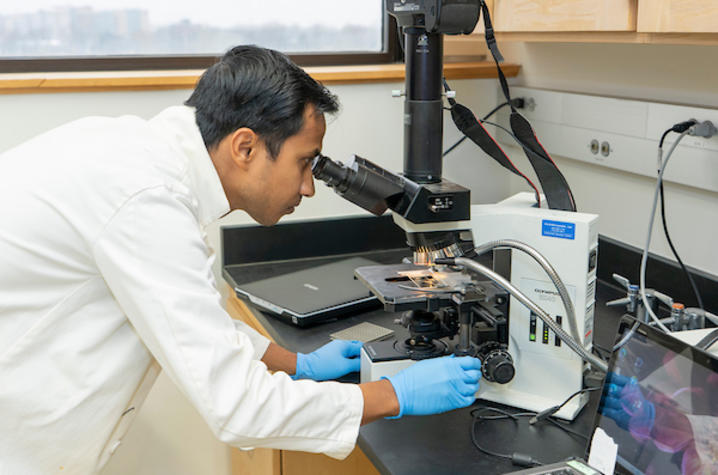 a researcher in a lab coat looks into a microscope