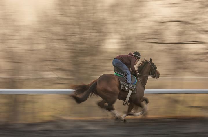 a person riding a brown thoroughbred horse on a racetrack 