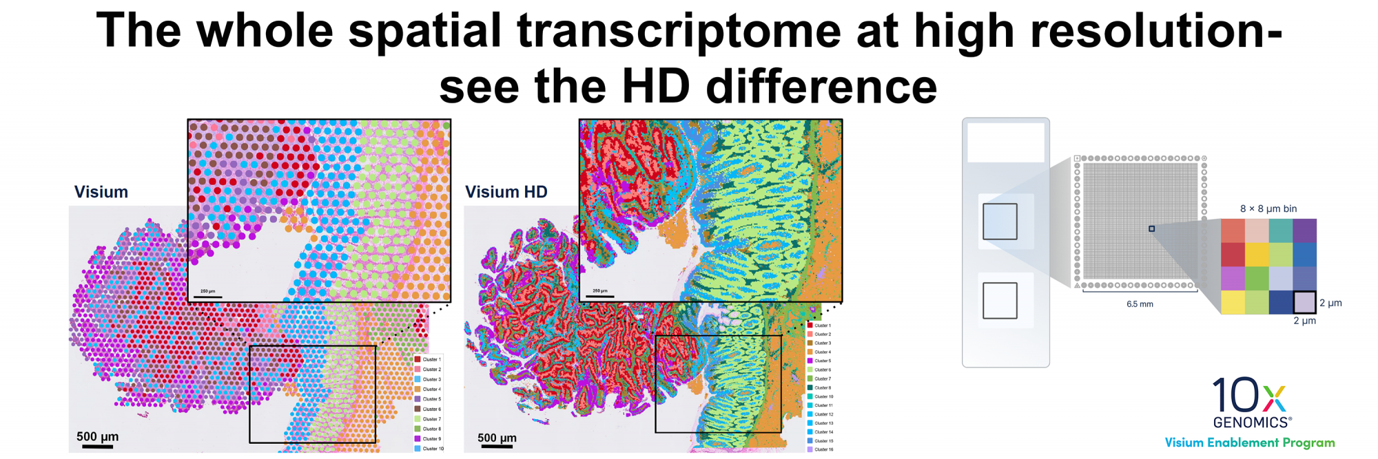 The whole spatial transcriptome at high resolution - see the HD difference