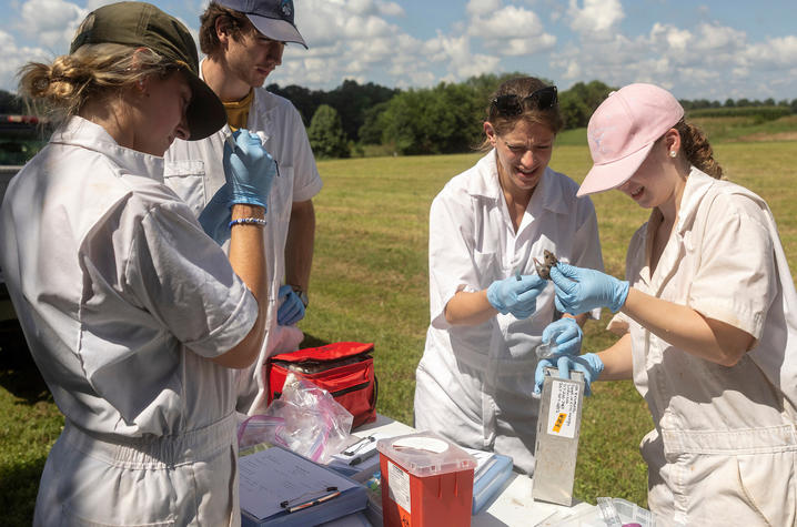 Four people wearing white protective coveralls and blue gloves stand around a table in a grassy field, examining a small animal specimen during field research.