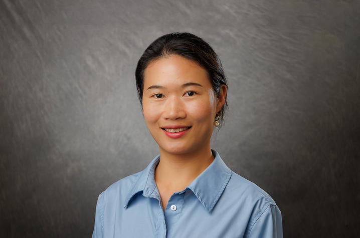 Huazhen Liu, Ph.D.