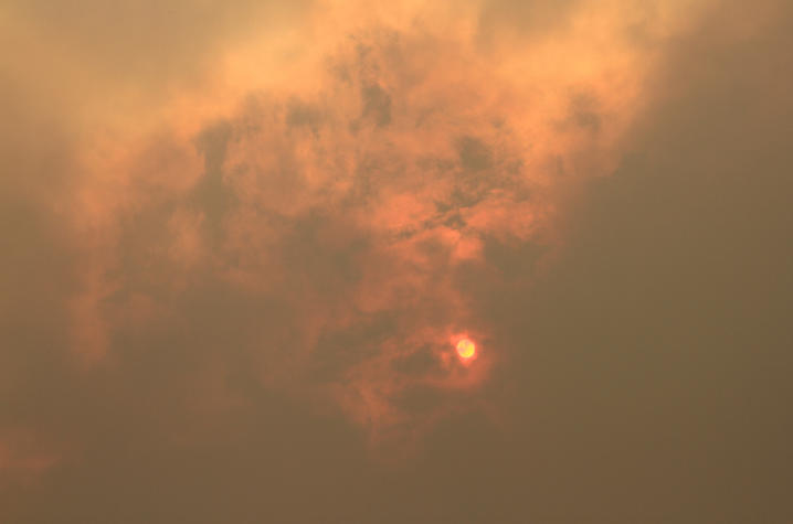 Getty%20Images%20-%20wildfire.jpg