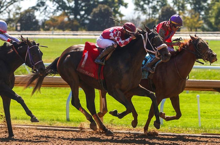 Racehorses_CarterSkaggs.jpg