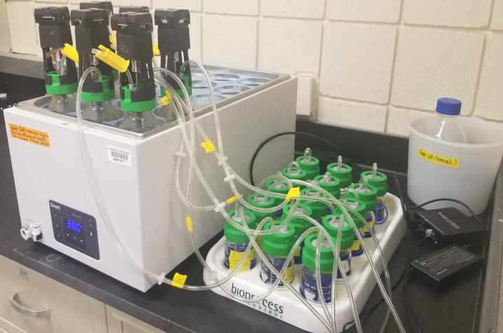 Stillage_JS.jpg