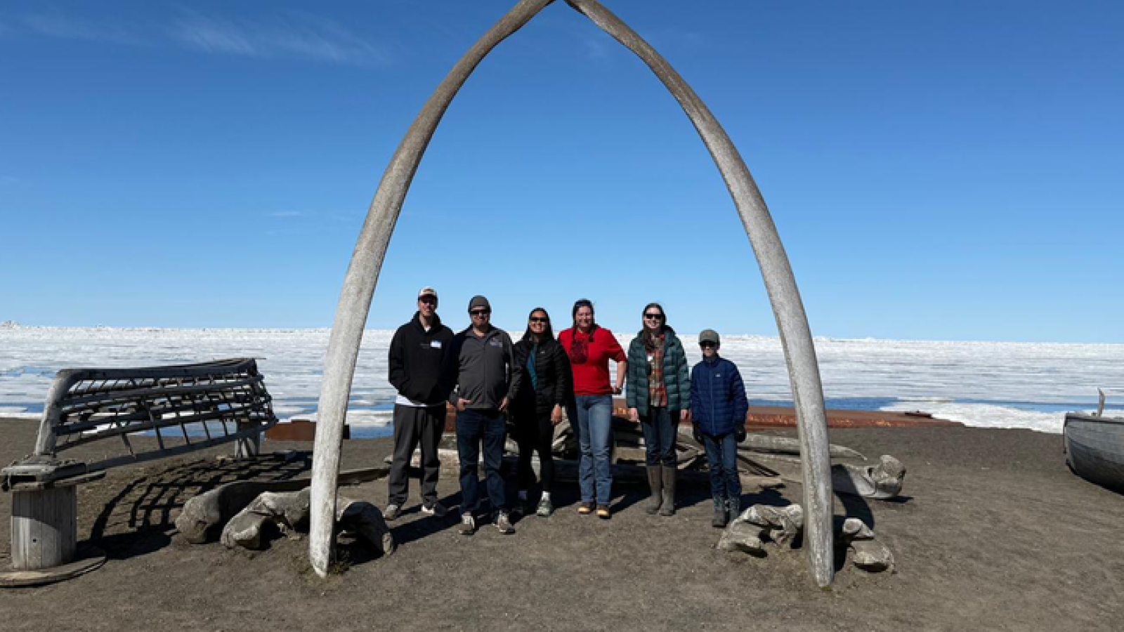 Photograph accompanying University of Kentucky team sequences Arctic wildlife where three bird flyways converge