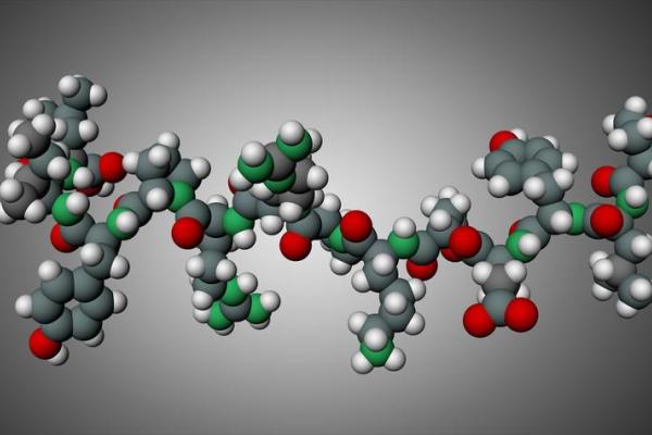 3D rendering of neurotensin neurotransmitter peptide molecule