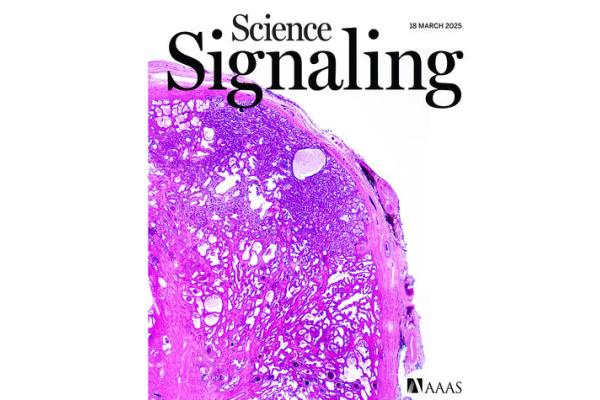 Science Signaling Vol. 18, Issue 878 cover