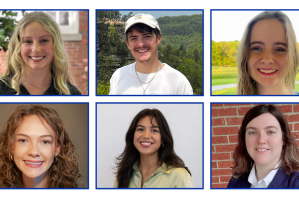 Sustainability Fellows