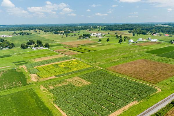 A view of research plots at the UK Research and Education Center in Princeton, Kentucky.