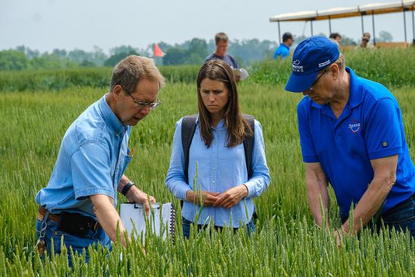 Dave Van Sanford (left) speaks with Lauren Brzozowski and Carl Schwinke of Siemer Milling at the 2023 Wheat Science Field Day