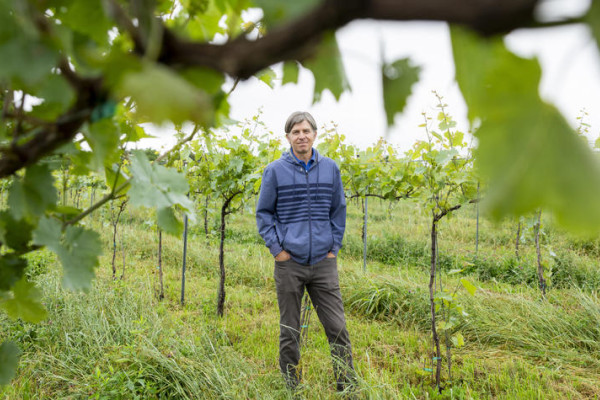 Jeff Wheeler, enology extension professor at Martin-Gatton CAFE, stands between the trellises at UK’s South Farm. 