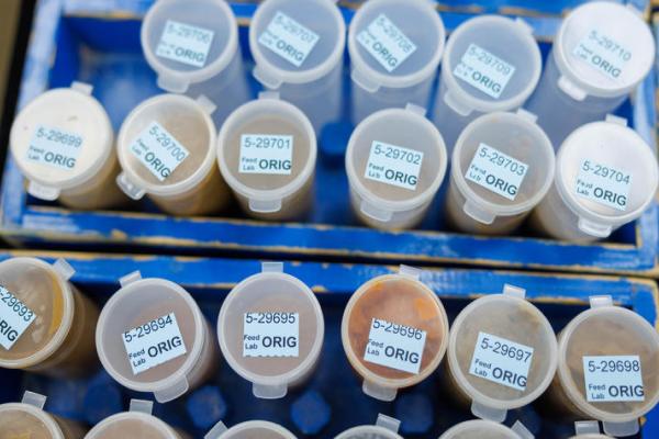 Samples of animal feed waited to be tested for nutrients in the feed unit.