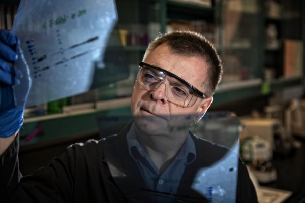 M. Paul Murphy, Ph.D., in his lab