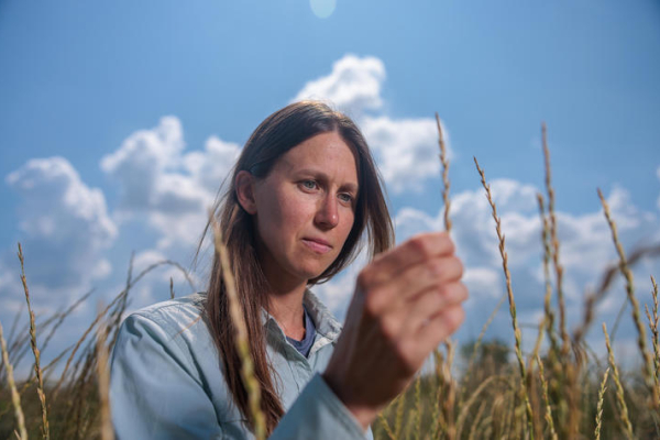 Lauren Brzozowski in a field of wheat grass
