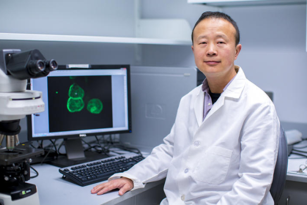 Markey researcher Ren Xu, Ph.D.