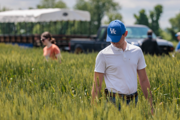 A community member visits UK’s Research and Education Center (UKREC) in Princeton, Kentucky, for Wheat Field Day on May 13. Celebrating its centennial this year, UKREC continues to connect with its community. Photo by Matt Barton.