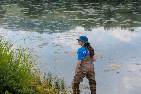 Amanda Beall collecting water samples in a stream.