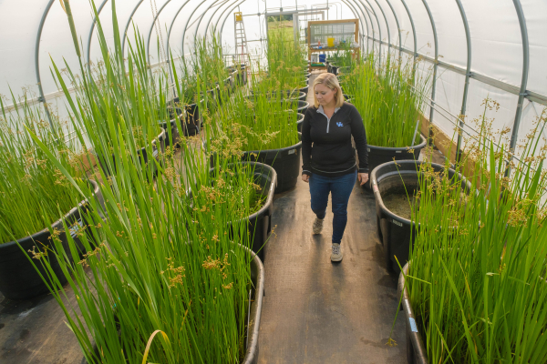 Tiffany Messer in a greenhouse