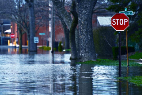 flooded street with a stop sign emerging from the water.
