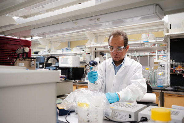 A researcher wearing a white lab coat, safety glasses and blue gloves uses a pipette while working at a laboratory bench surrounded by scientific instruments, bottles and testing equipment in a University of Kentucky research lab.