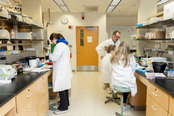 Four people in white lab coats work at benches in a laboratory filled with pipettes, tubes, containers and other research equipment. One person handles materials while three gather at the opposite bench.