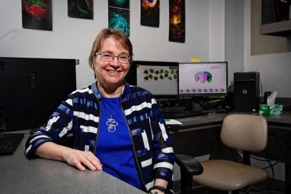 Linda Van Eldik sitting at a desk