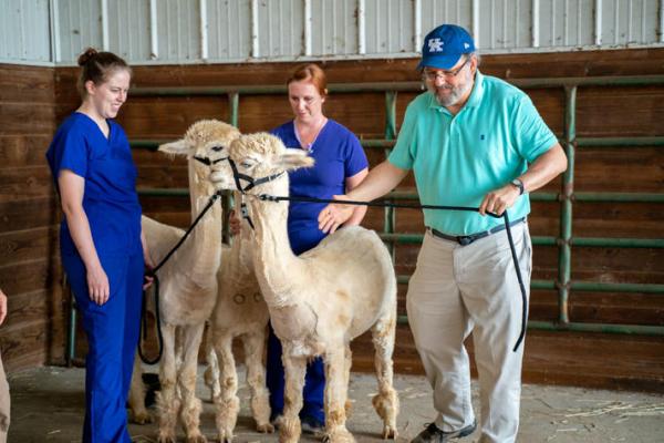 Alpacas2.jpg