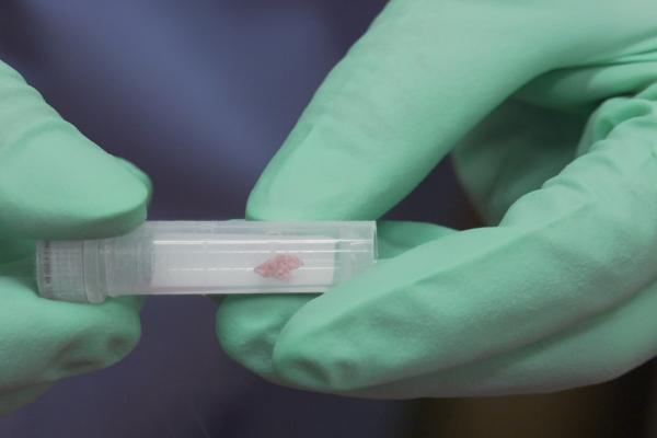 Biobank%20Investigator-TN.jpg