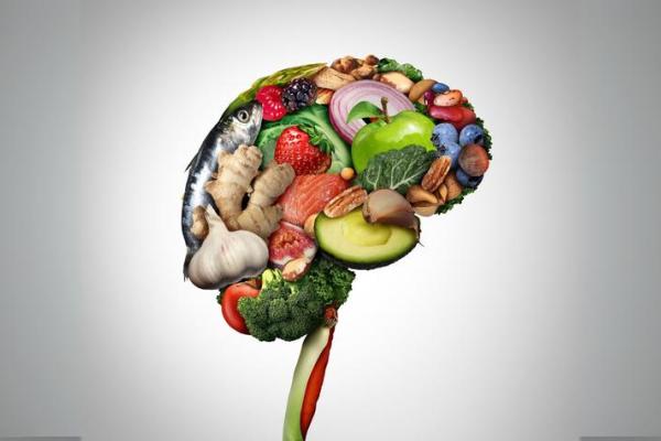 healthy%20brain%20food%20web.jpg