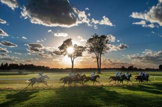 Keenland Racetrack in the spring