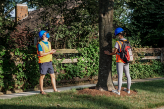 Students take measurements on a street tree as part of a previously funded Challenge Grant Project that focused on preparing urban forests for a changing climate.