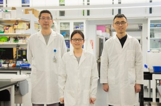 From left: Sheng Tong, Xiaoyue Yang and Zhongchao Yi.