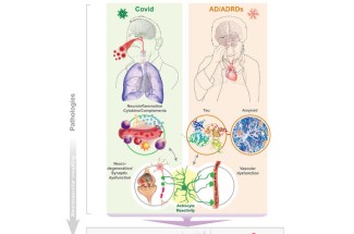 Research illustration by Tom Dolan