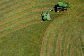 University of Kentucky Martin-Gatton College of Agriculture, Food and Environment experts advise on successful livestock haying in a time of drought and hot weather.