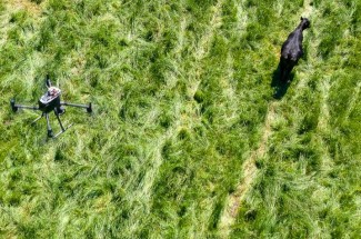 A new drone project could revolutionize how cattle producers save time, money and improve animal welfare.