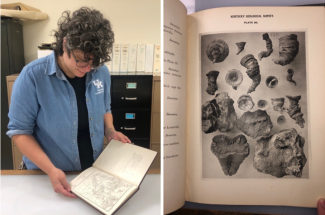 Cheyenne Hohman, publication resources curator for the Kentucky Geological Survey, examines a book from the survey’s geoscience publication collection. On the right is a plate image of horn coral from a KGS publication.