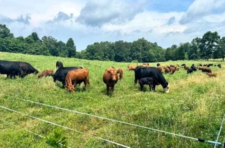 Glenmar Farms, a regenerative cow-calf operation in Cecelia, Kentucky, will host the pasture ecology workshop.