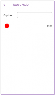 mobile_app_record_audio