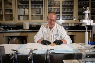 Pete Nelson, M.D., Ph.D., in his lab