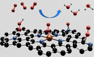 Addressing the Instability Issue of Fe-N/C Catalysts  for Sustainable Fuel Cell Technology