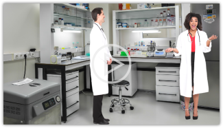 Safe Work Environment Case 1