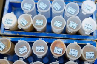 Samples of animal feed waited to be tested for nutrients in the feed unit.