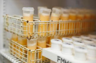 Samples of milk